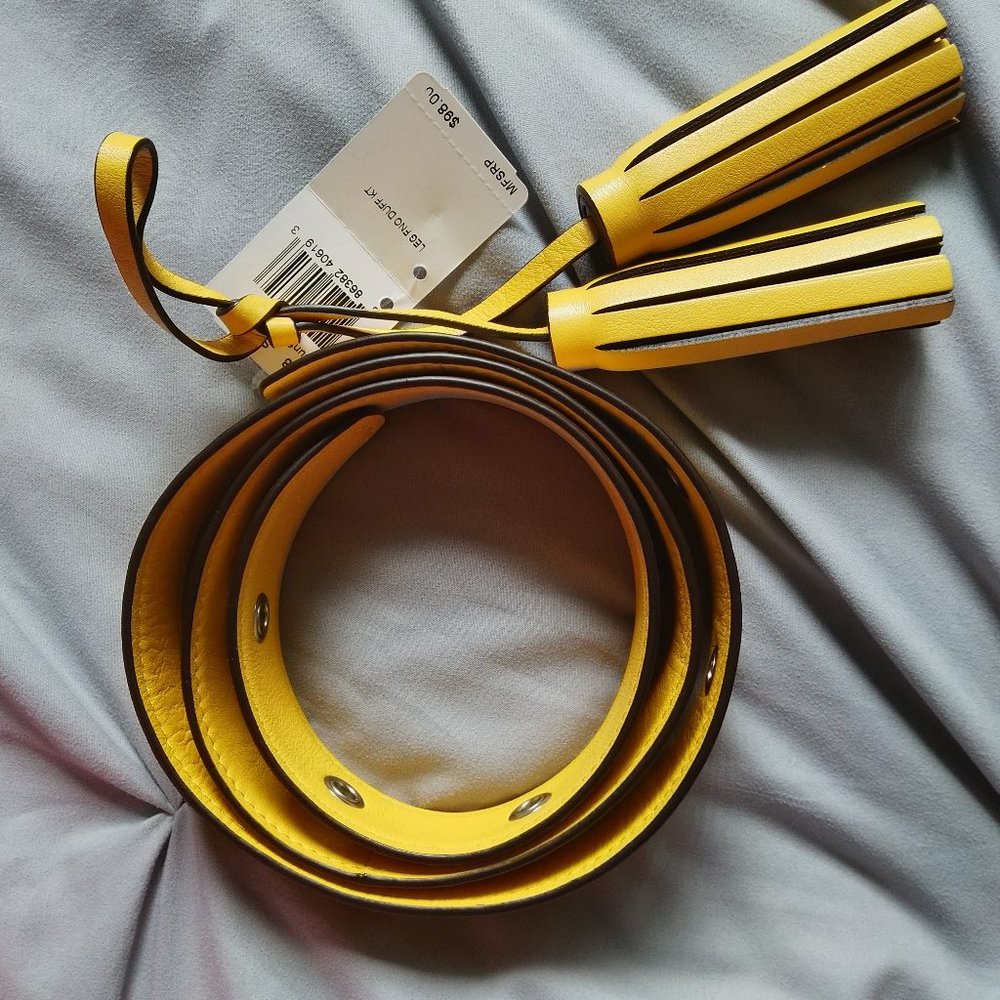 Replacement bag strap